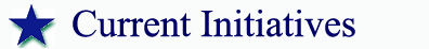 Current Initiatives